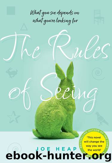 The Rules of Seeing by Joe Heap