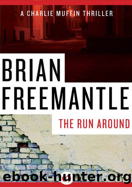 The Run Around by Brian Freemantle