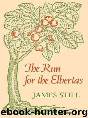 The Run for the Elbertas by James Still