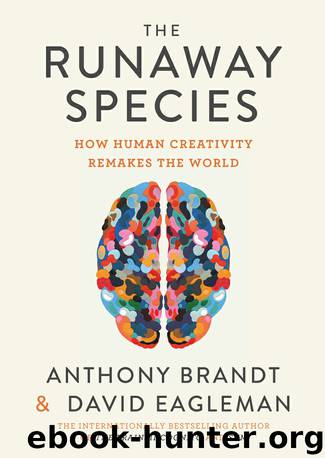 The Runaway Species by David Eagleman