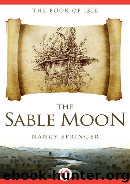 The Sable Moon by Nancy Springer