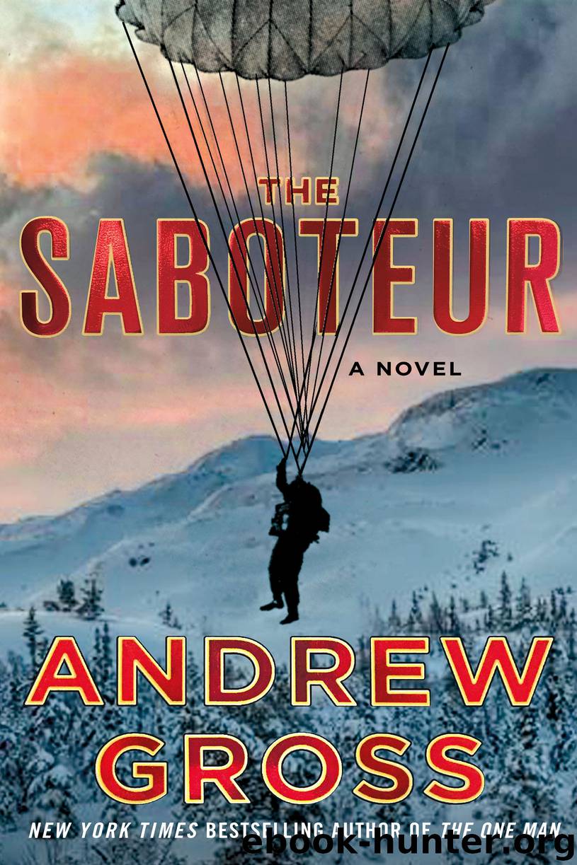 The Saboteur by Andrew Gross