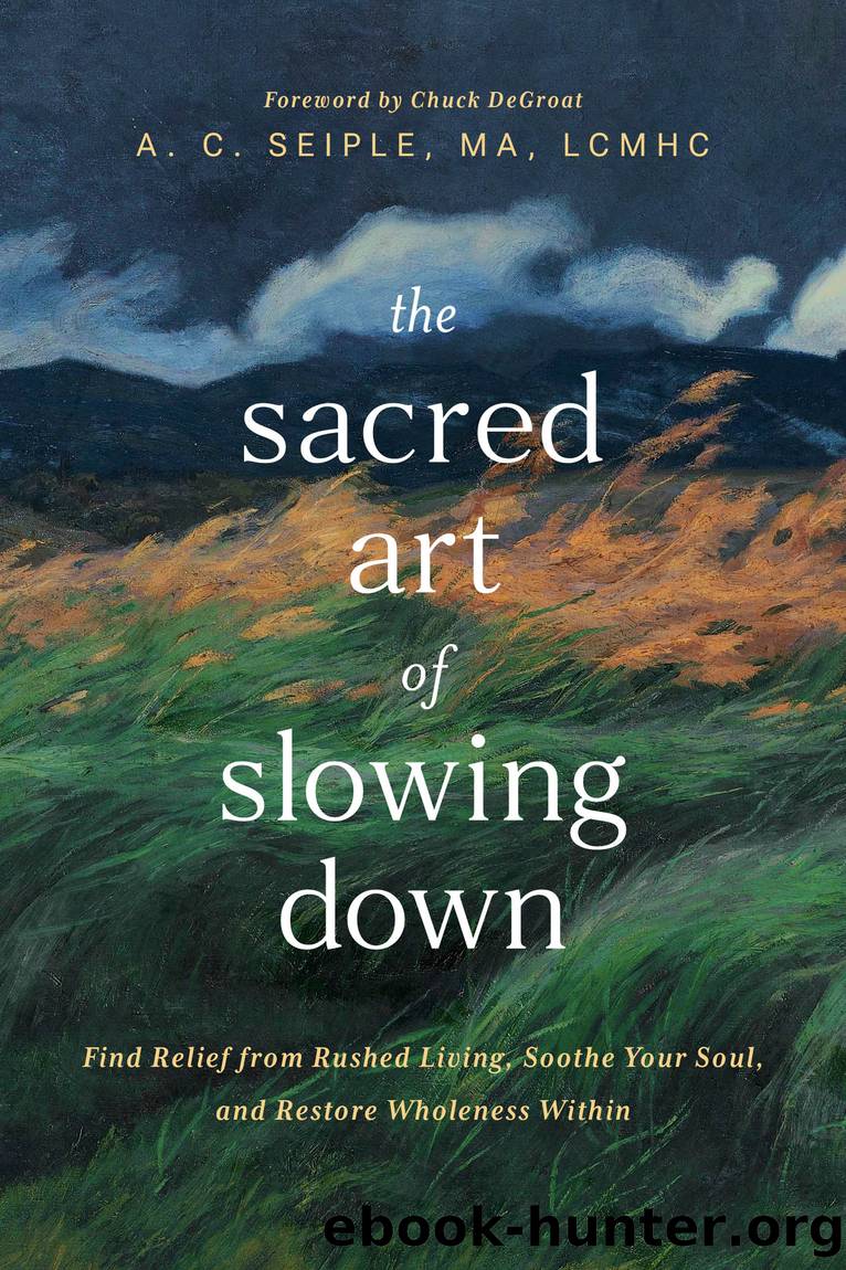 The Sacred Art of Slowing Down by A. C. Seiple MA LCMHC