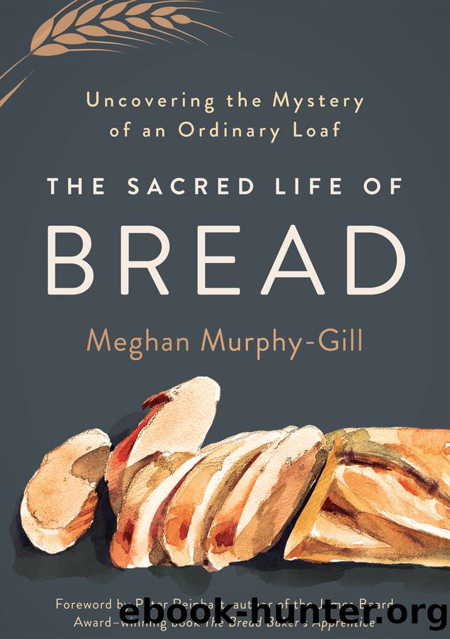 The Sacred Life of Bread by Meghan Murphy-Gill