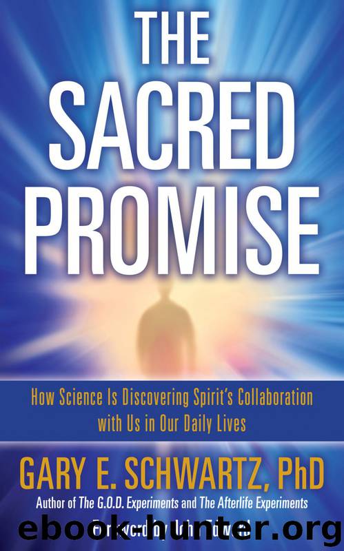 The Sacred Promise by Gary E. Schwartz