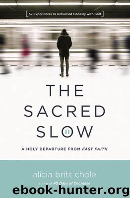 The Sacred Slow by Alicia Britt Chole
