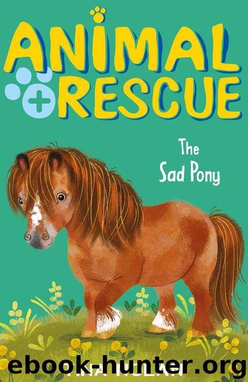 The Sad Pony by Tina Nolan