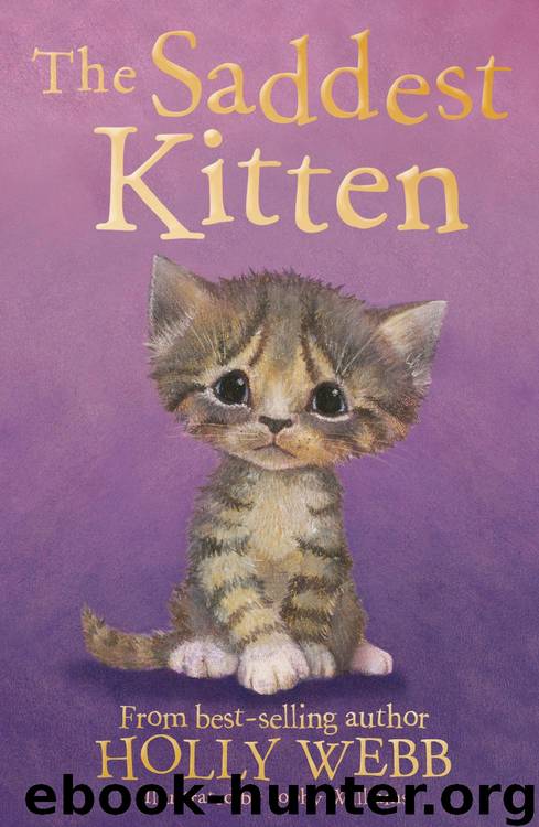 Whiskers the Lonely Kitten by Holly Webb