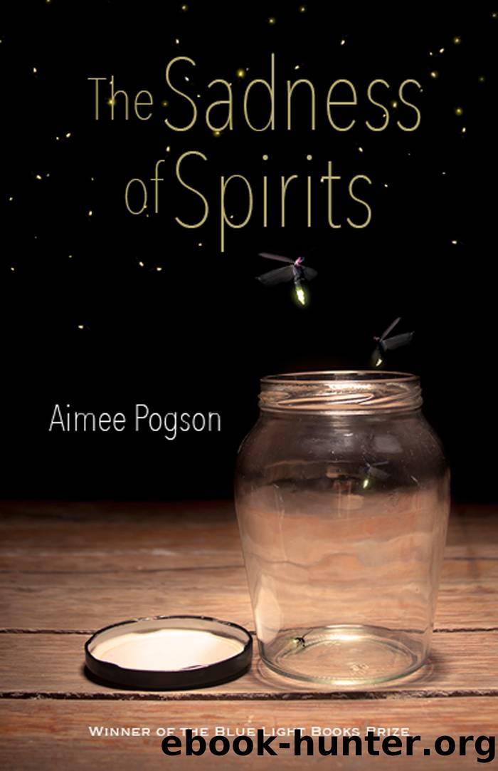 The Sadness of Spirits by Aimee Pogson