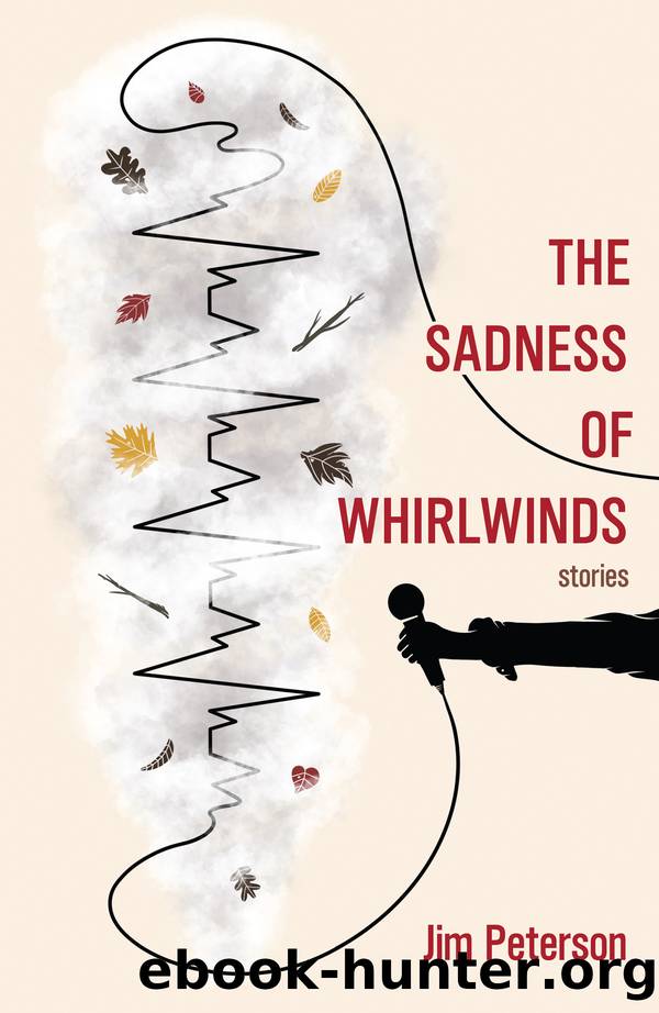 The Sadness of Whirlwinds by Jim Peterson