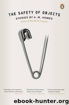 The Safety of Objects: Stories by A. M. Homes