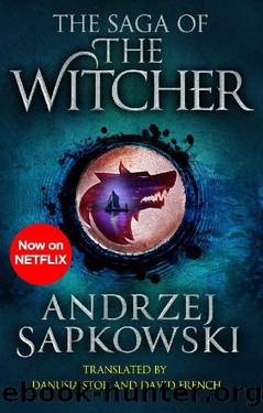 The Saga of the Witcher by Andrzej Sapkowski