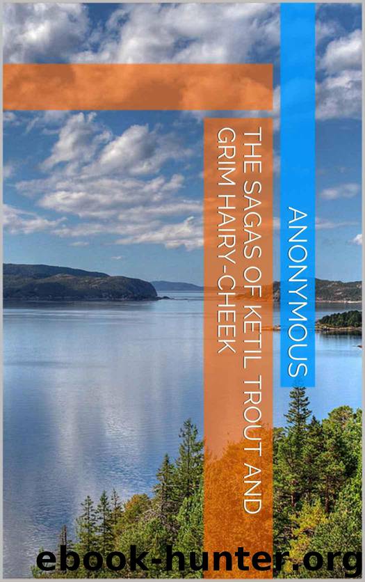 The Sagas of Ketil Trout and Grim Hairy-cheek (Viking Legendary Sagas Book 4) by Anonymous