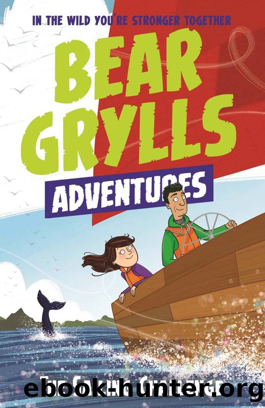 The Sailing Challenge by Bear Grylls