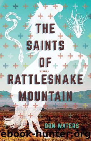 The Saints of Rattlesnake Mountain by Don Waters