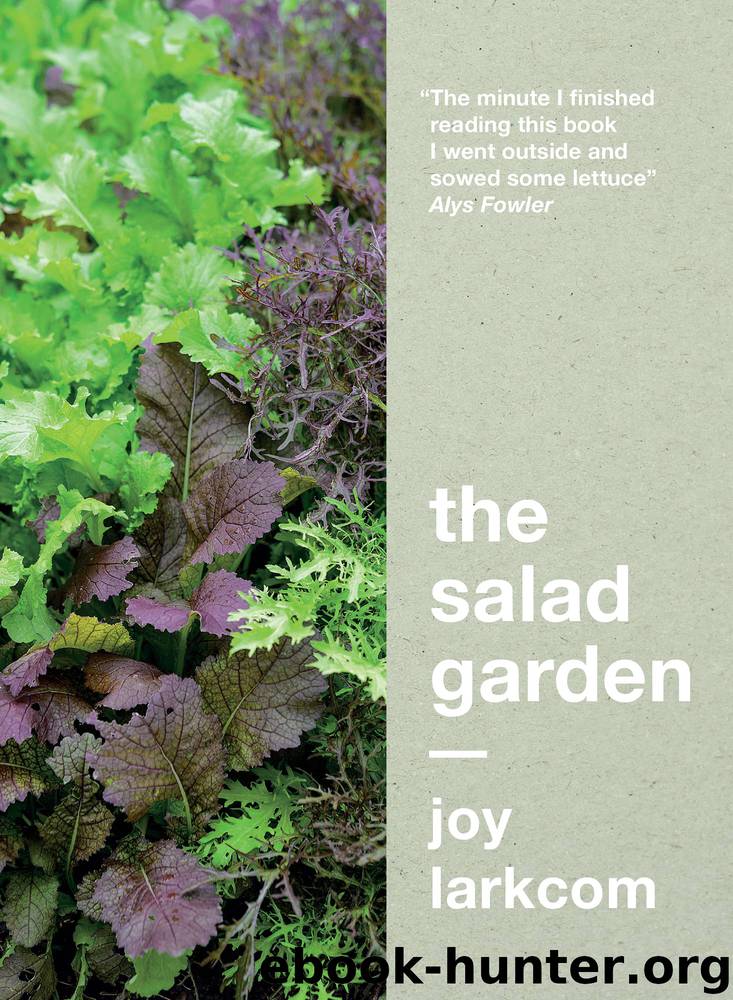 The Salad Garden by Joy Larkcom