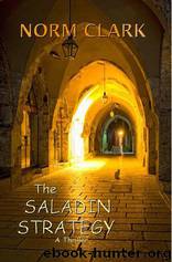 The Saladin Strategy by Norm Clark