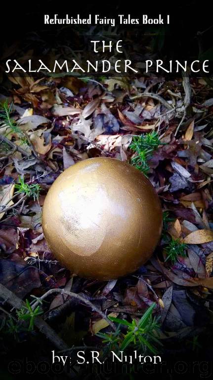 The Salamander Prince by S R Nulton