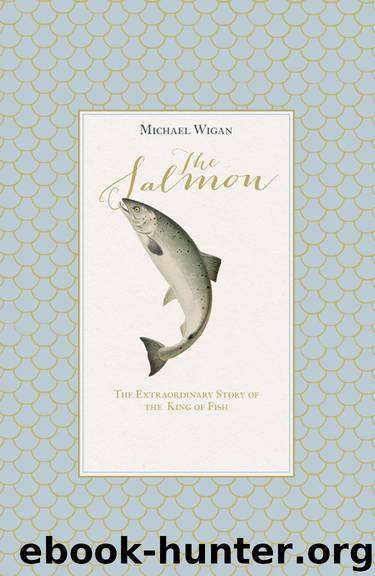 The Salmon by Michael Wigan