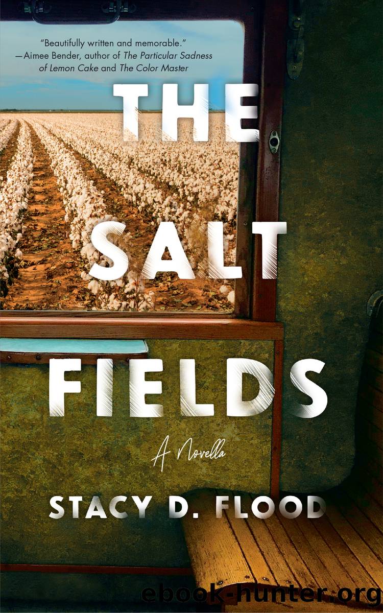 The Salt Fields by Stacy D. Flood