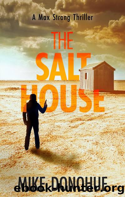 The Salt House by Mike Donohue