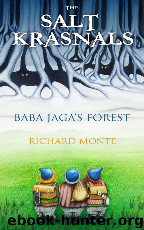 The Salt Krasnals by Richard Monte