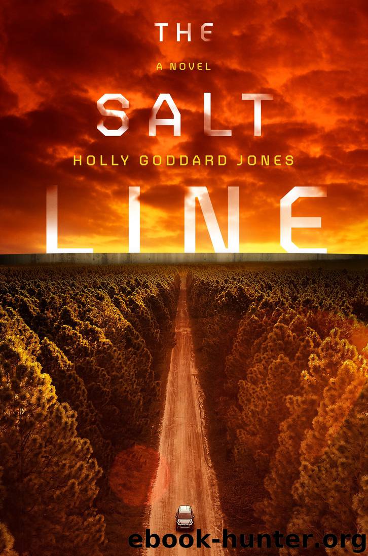 The Salt Line by Holly Goddard Jones