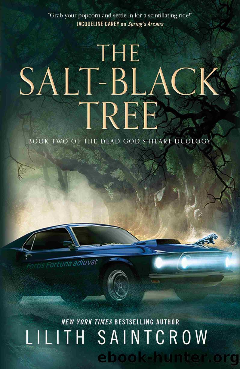 The Salt-Black Tree: Book Two of the Dead God's Heart Duology by Lilith Saintcrow