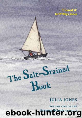 The Salt-Stained Book (Strong Winds Trilogy 1) by Jones Julia
