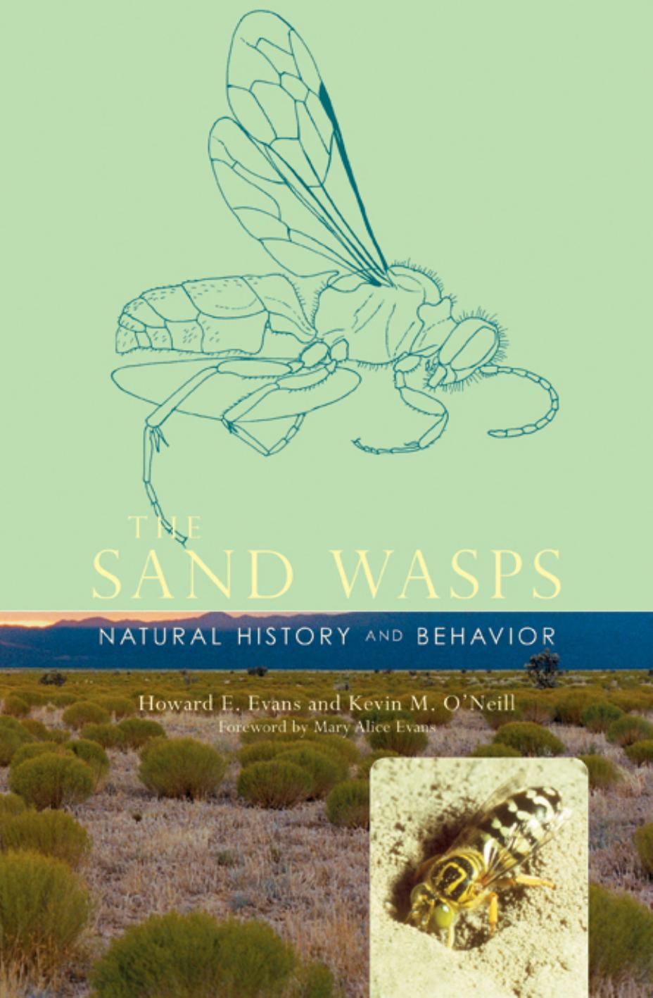 The Sand Wasps: Natural History and Behavior by Howard Ensign Evans & Kevin M. O'Neill