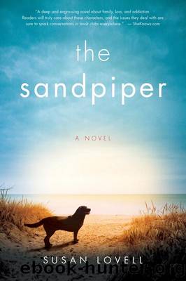 The Sandpiper by Susan Brace Lovell