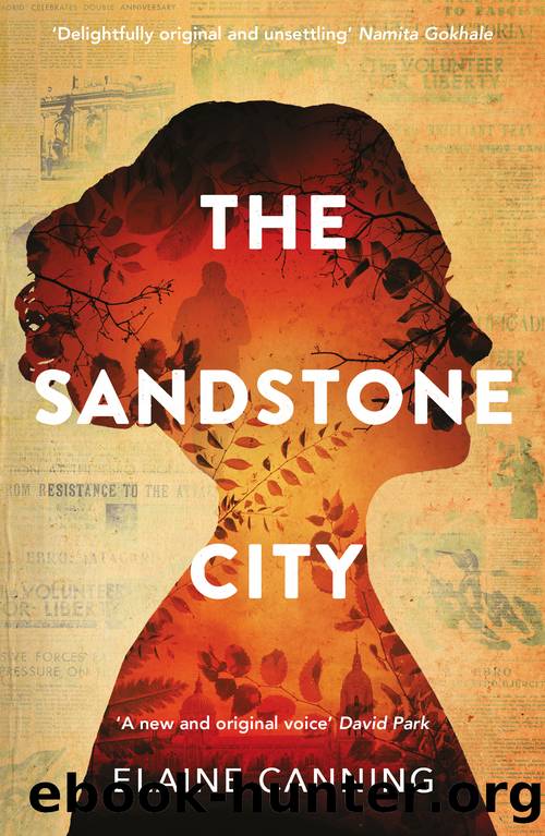The Sandstone City by Elaine Canning