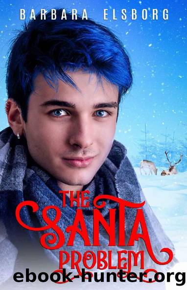 The Santa Problem by Barbara Elsborg
