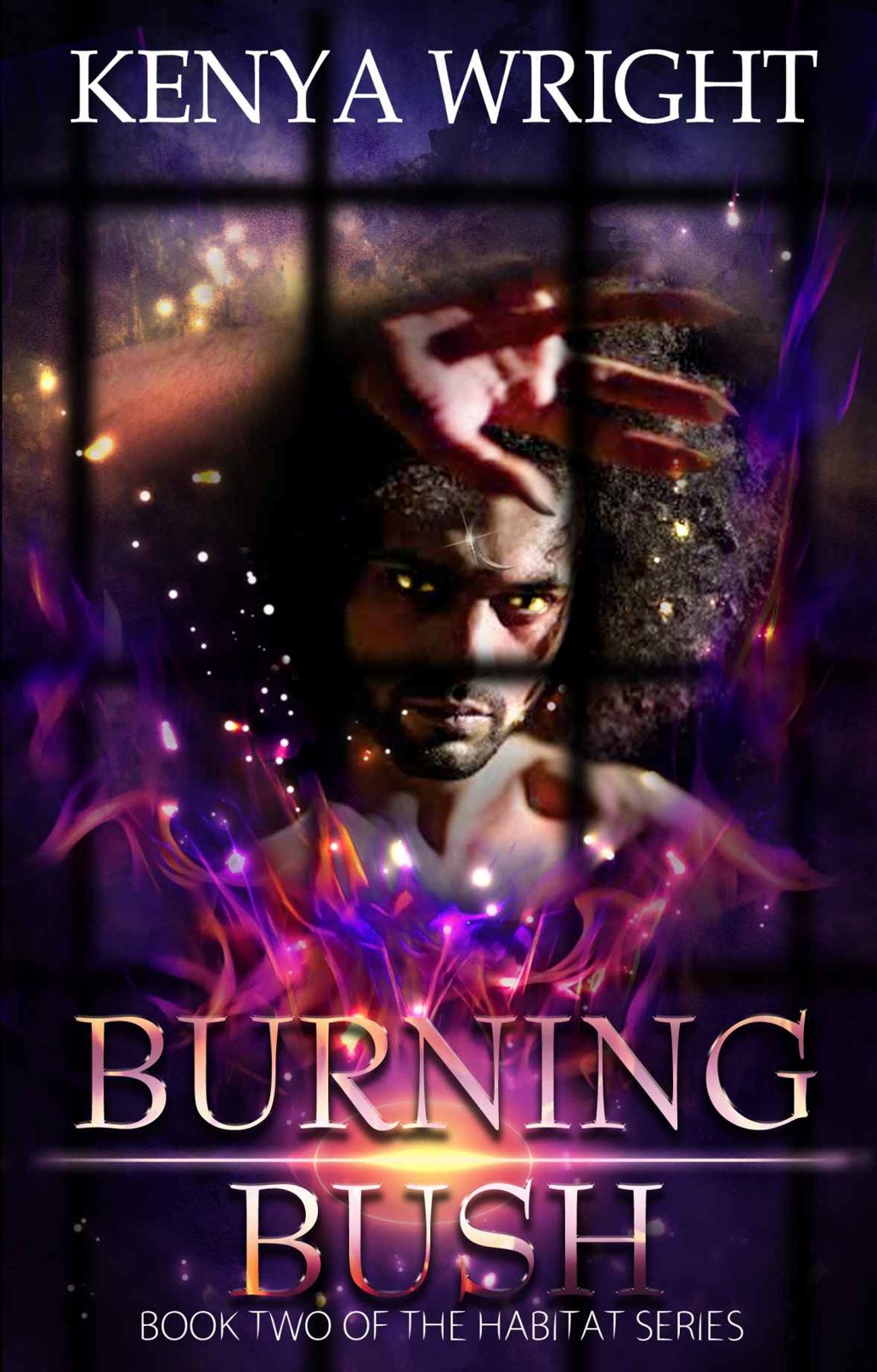 The Santeria Habitat 2: The Burning Bush (Interracial Paranormal Romance) by Kenya Wright