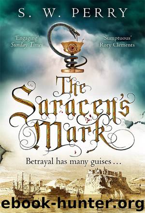 The Saracen's Mark by S. W. Perry