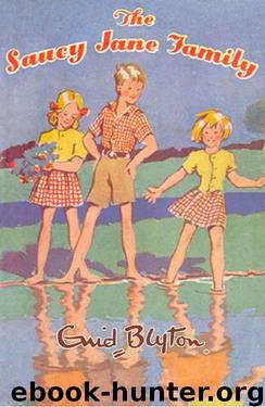 The Saucy Jane Family by Enid Blyton