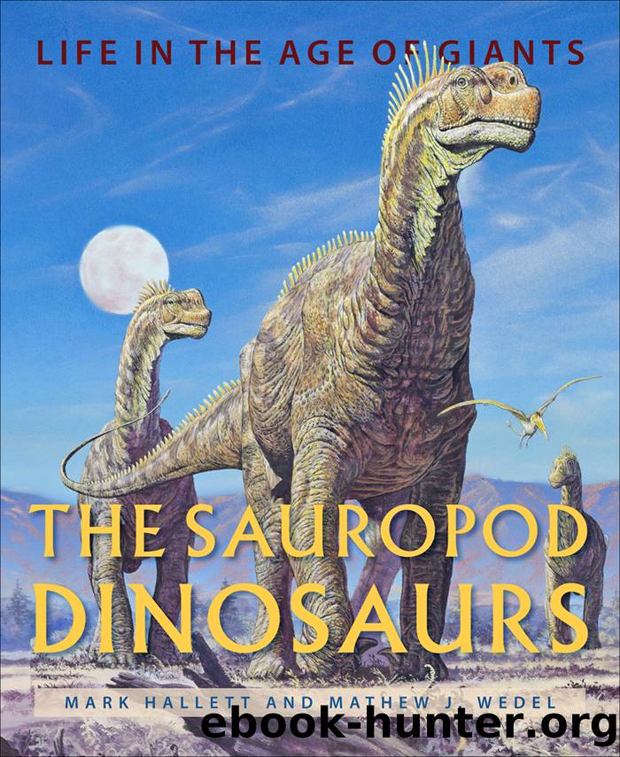 The Sauropod Dinosaurs by Mark Hallett