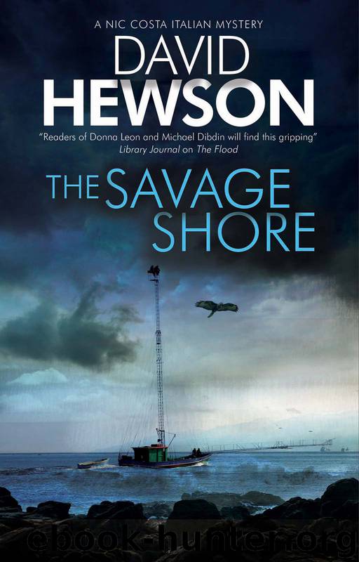 The Savage Shore by David Hewson