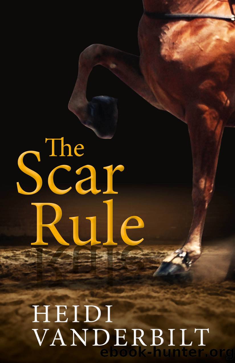 The Scar Rule by Heidi Vanderbilt