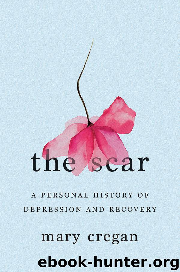The Scar by Mary Cregan