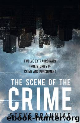 The Scene of the Crime by Steve Braunias