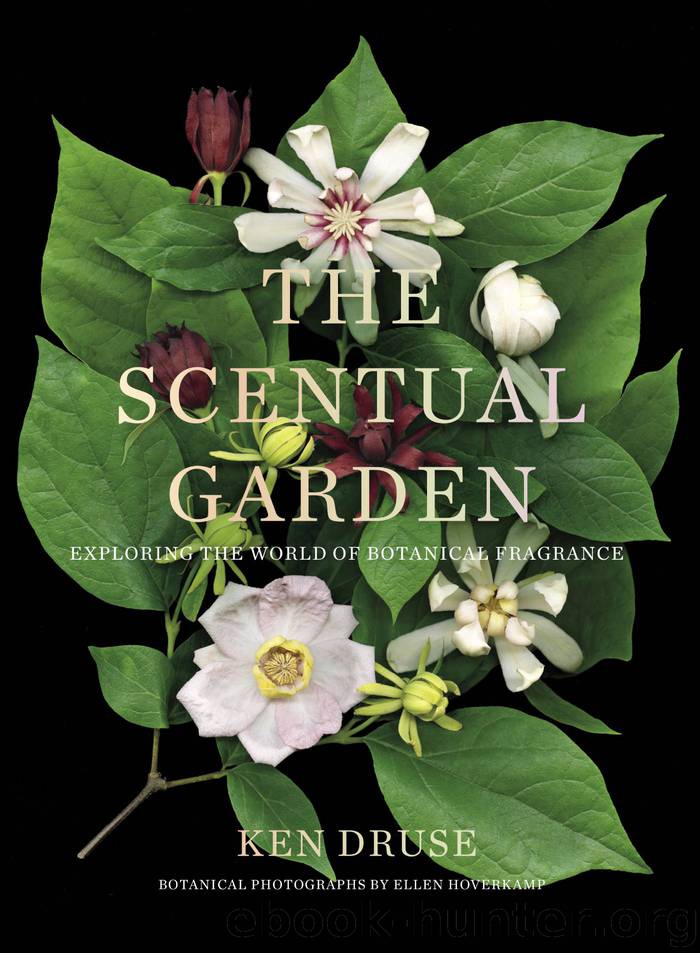 The Scentual Garden by Ken Druse