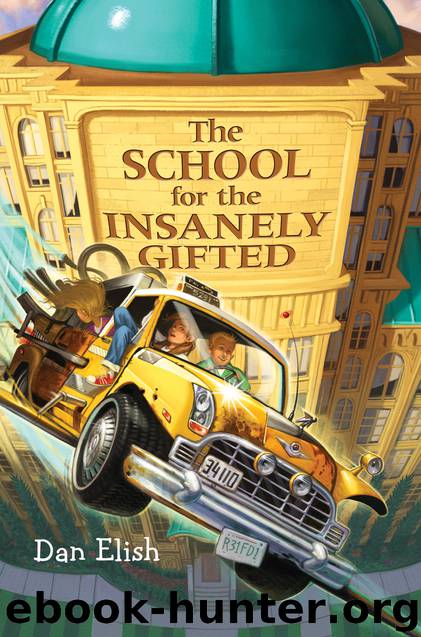 The School for the Insanely Gifted by Dan Elish