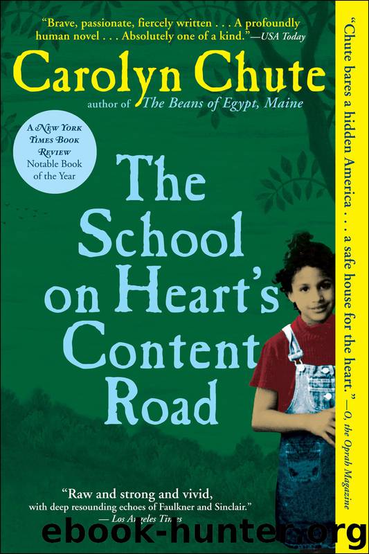 The School on Heart's Content Road by Carolyn Chute