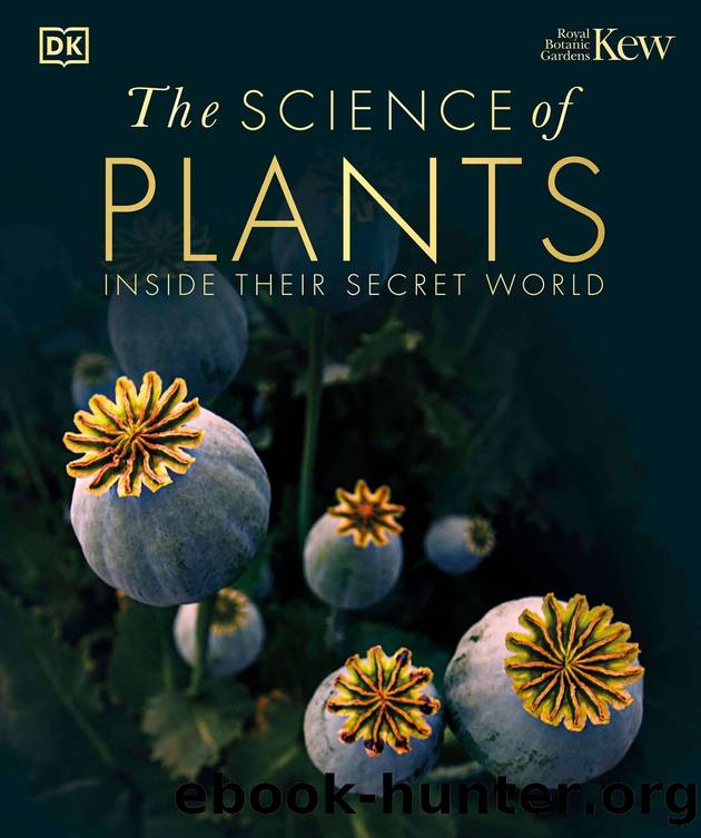 The Science of Plants: Inside their Secret World by Dorling Kindersley