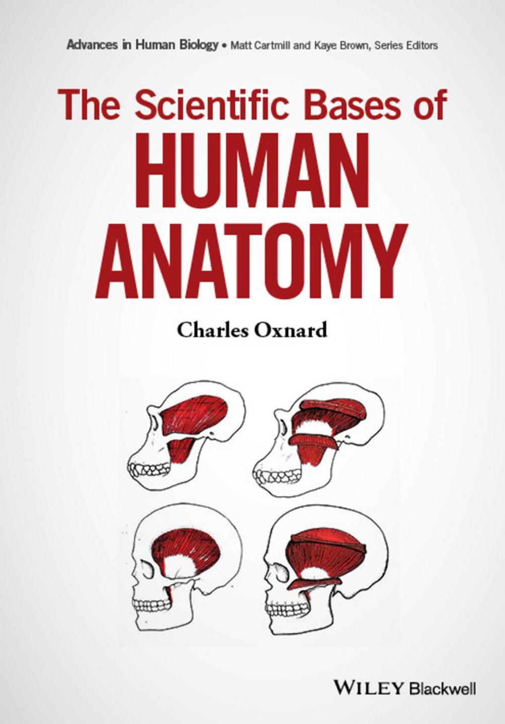 The Scientific Bases of Human Anatomy by Unknow