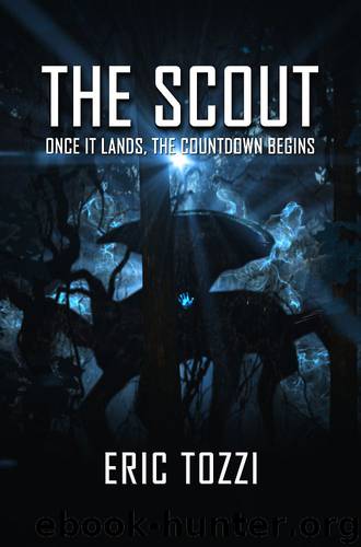 The Scout by Eric Tozzi