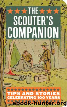 The Scouter's Companion by David Witt