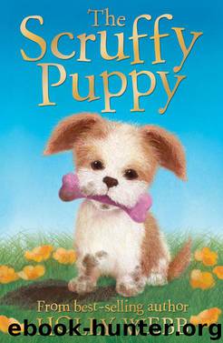 The Scruffy Puppy by Holly Webb