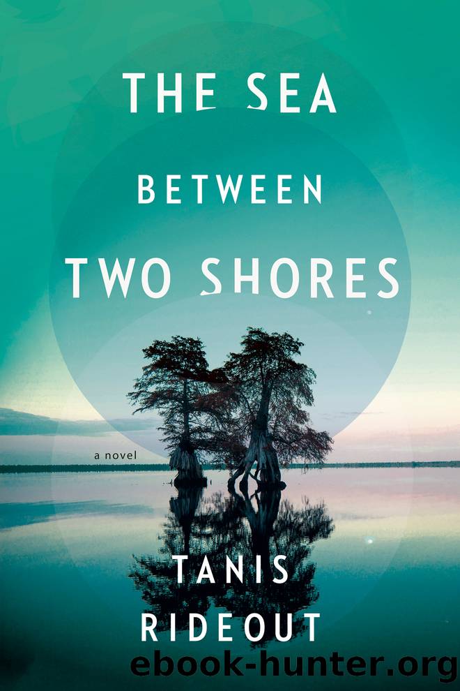 The Sea Between Two Shores by Tanis Rideout